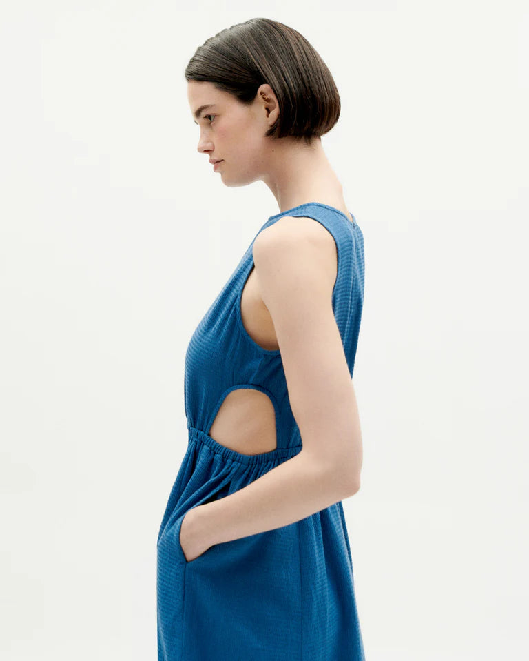 Blue Kin Dress