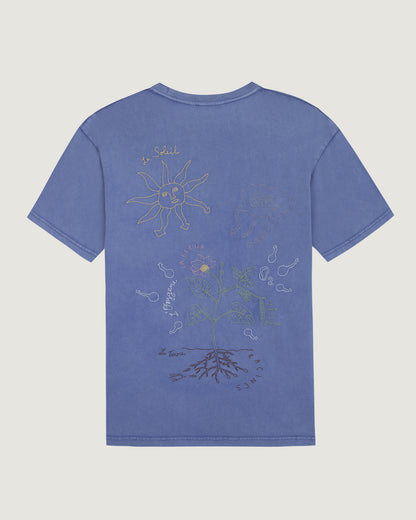 Patureau La Photosynthese/Gots