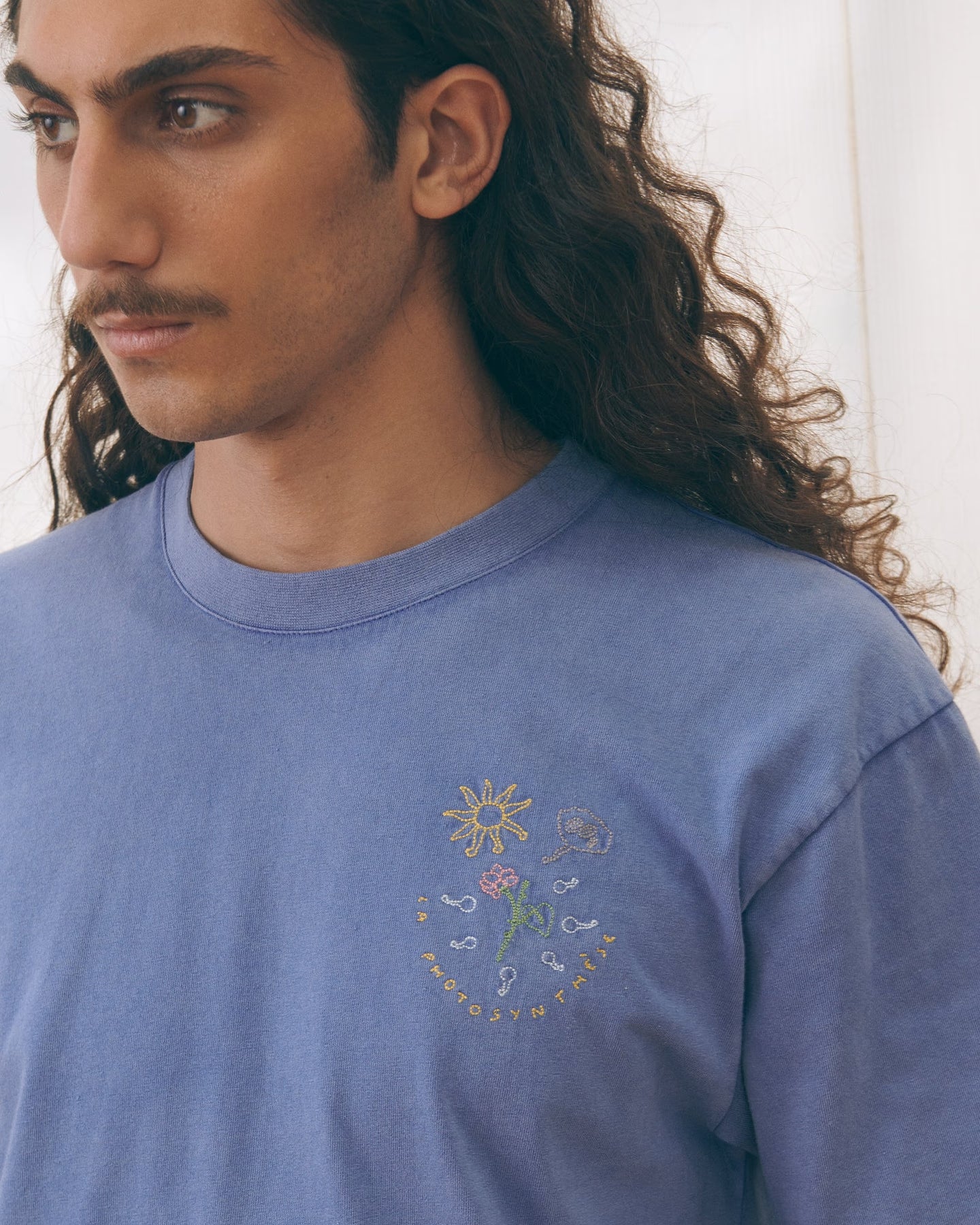 Patureau La Photosynthese/Gots