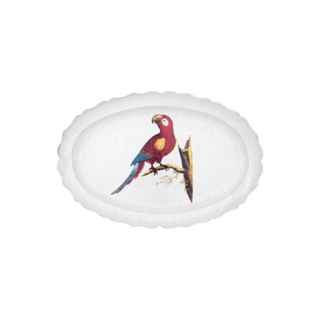 John Derian Parrot Max Platter
