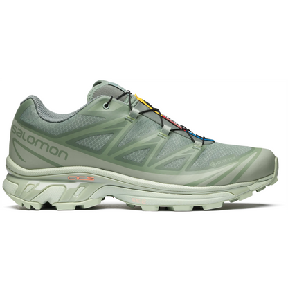 XT-6 GTX Desert Sage/Lily Pad/ Laurel Wreath (unisex)