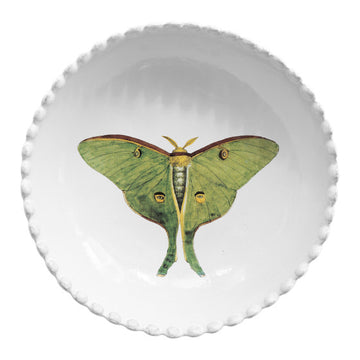 Eyed green butterfly Soup Plat