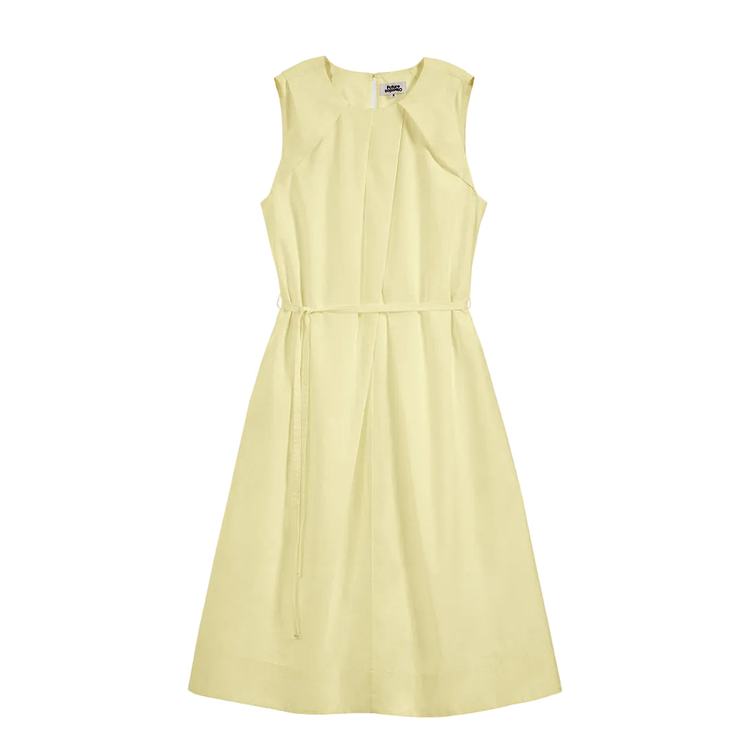 Pleated Dress
