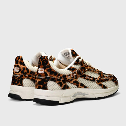 The Re-Run Spotted Leopard