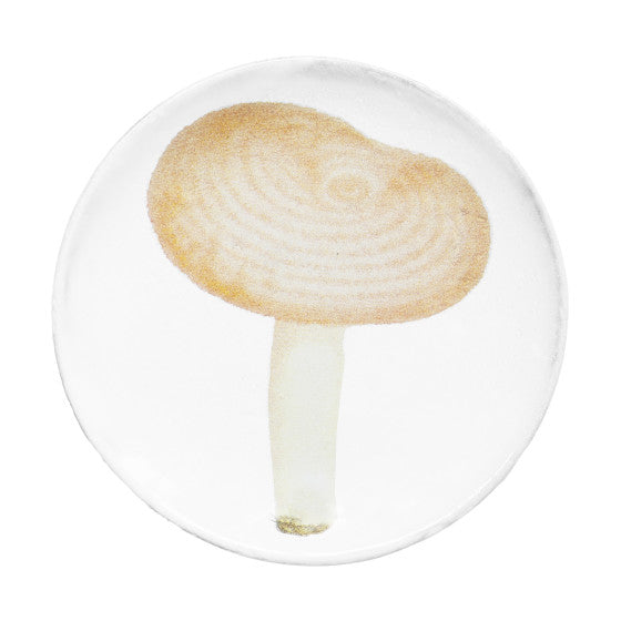 Small Agaric Meurtrier Plate