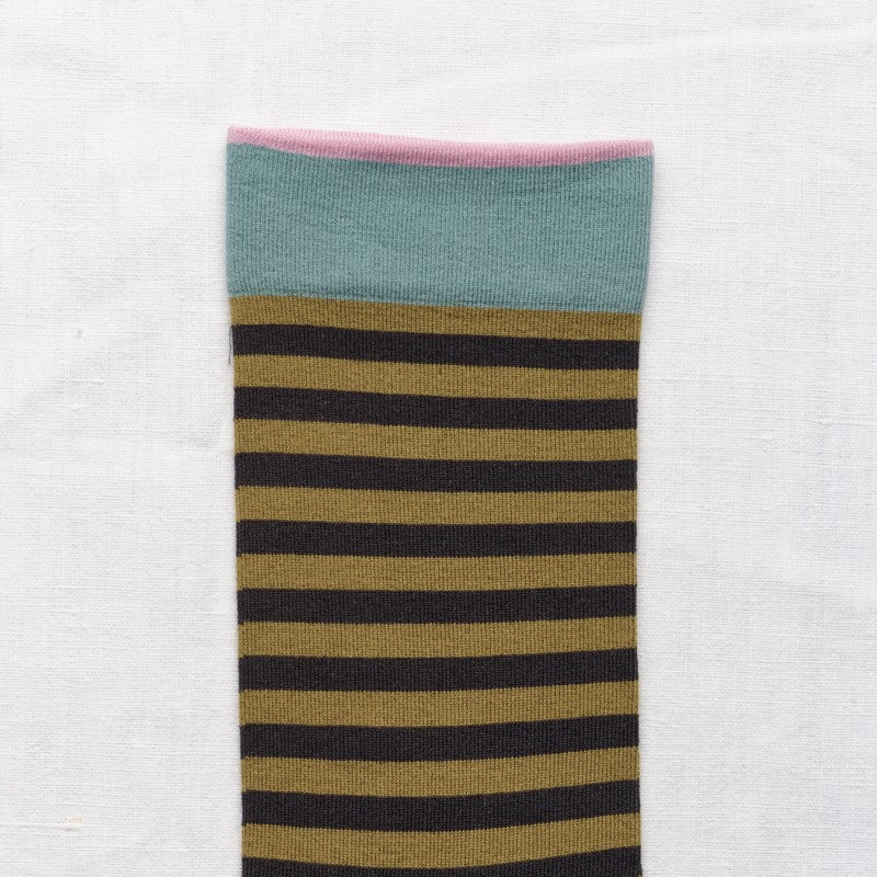 Sock Stripe Absinth