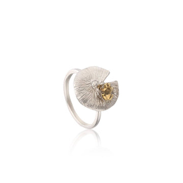 A Frog's Charm Silver Gold Tint Ring
