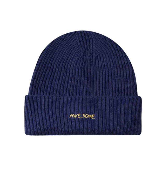 AWESOME UNISEX VINCENNES BEANIE Navy OS