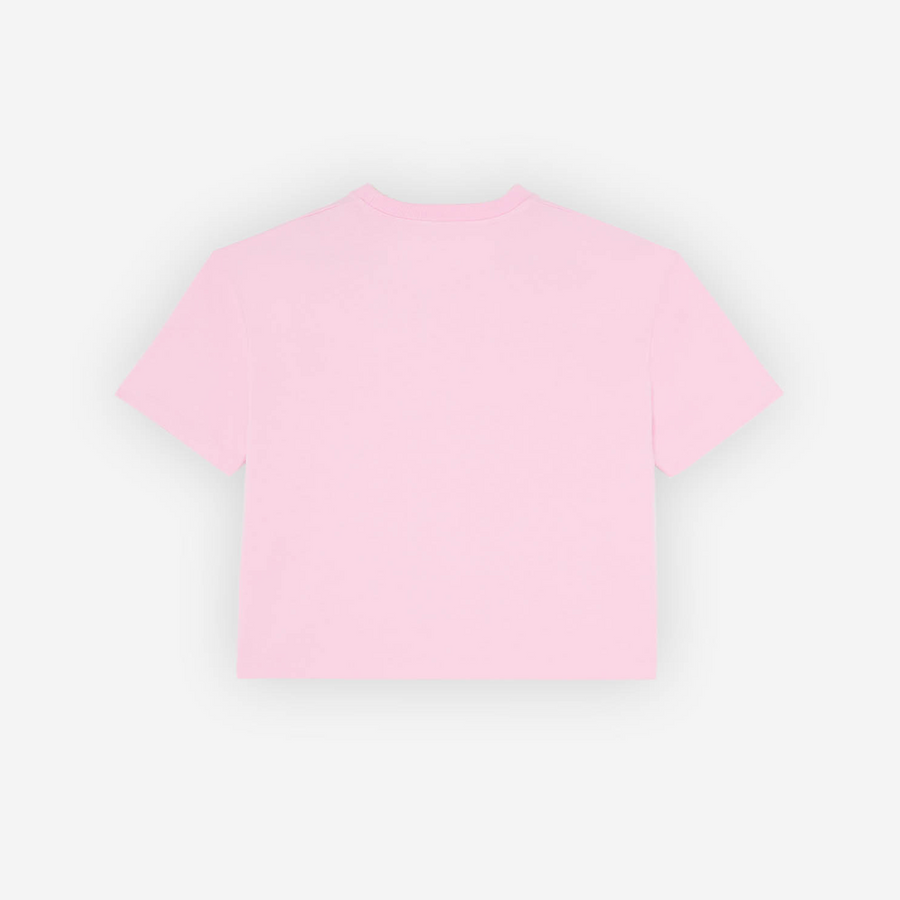 Paris Embroider Boxy T-Shirt Dusty Rose (women)