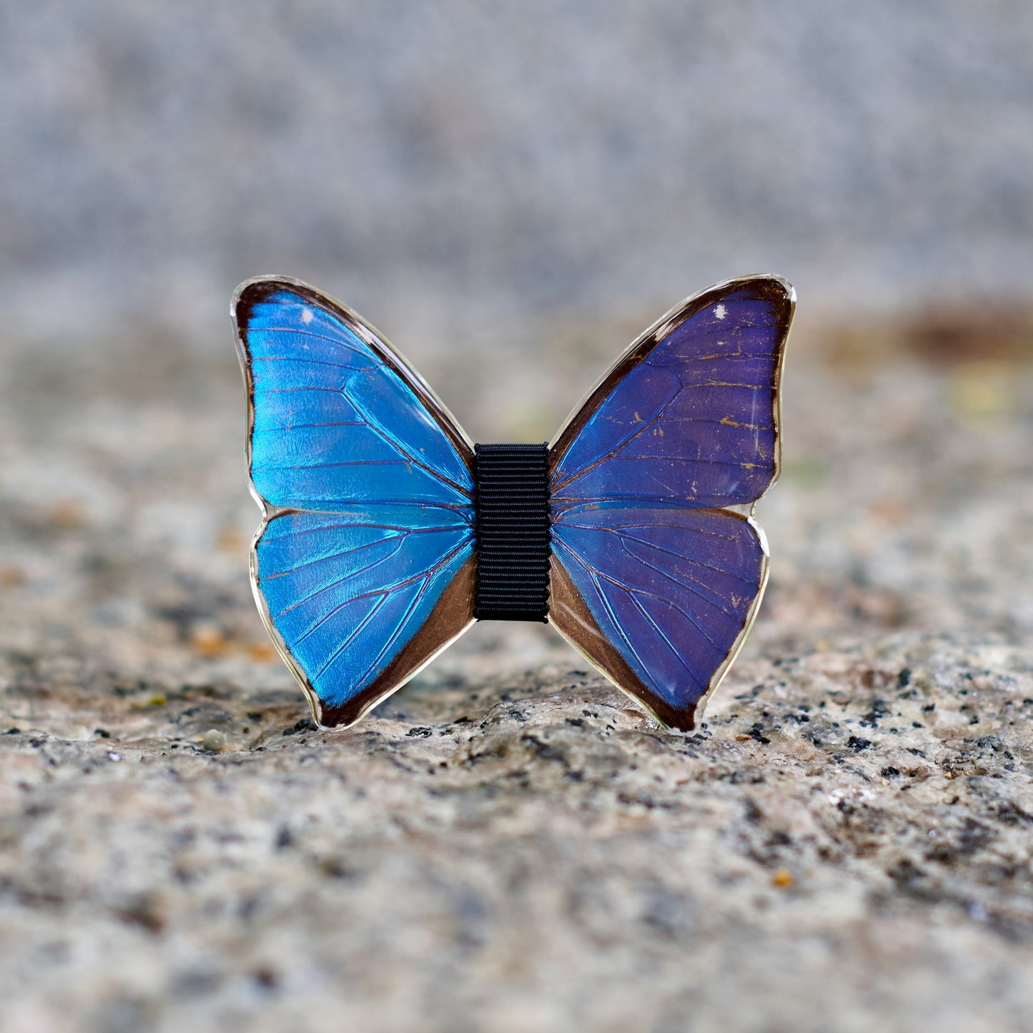 Brooch Don Giovanni