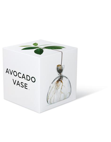 Avocado Vase