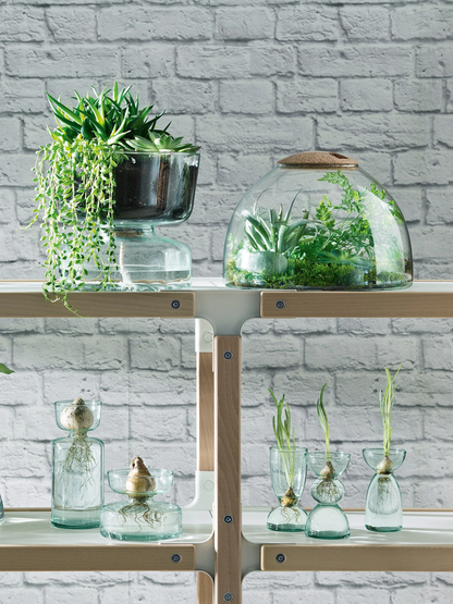 canopy self watering planter LSA Canopy Self Watering Planter H22cm Clear/Part Optic – kapok