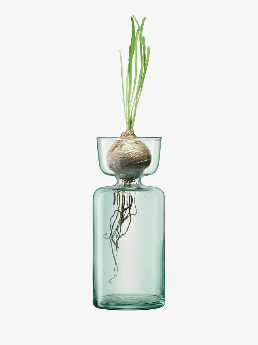 Canopy Vase/Bulb Planter H20cm Clear