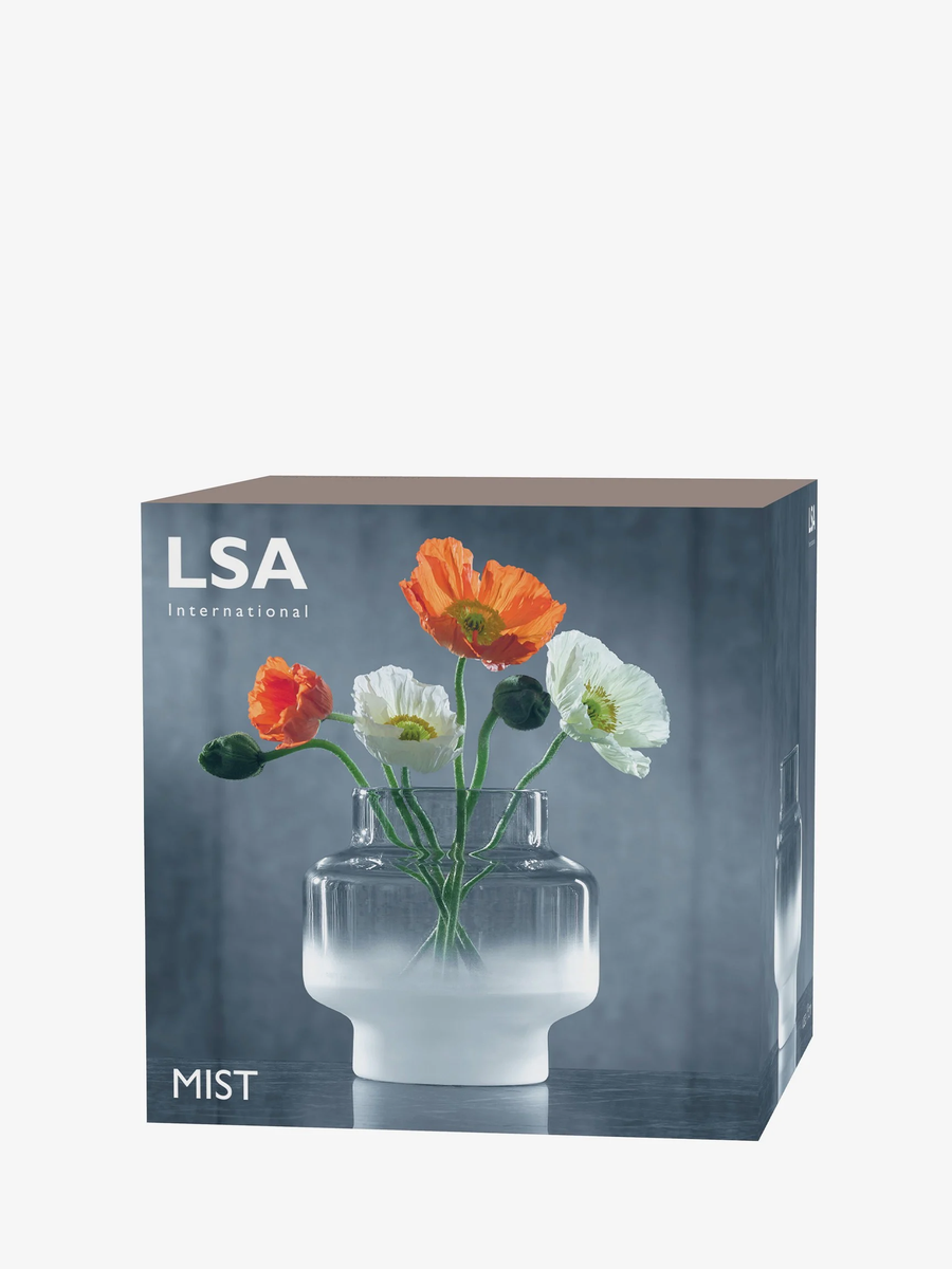 Mist Vase H19cm Part Frost