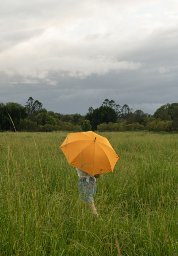 Rain Umbrella-Paisley Bay