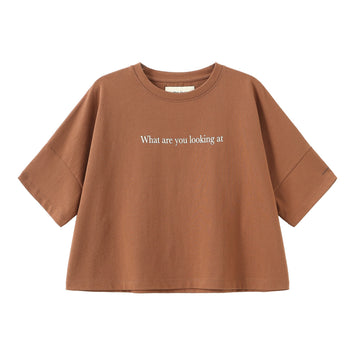 Oversized Short Tee / Looking At Brown