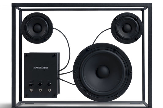 Speaker Black