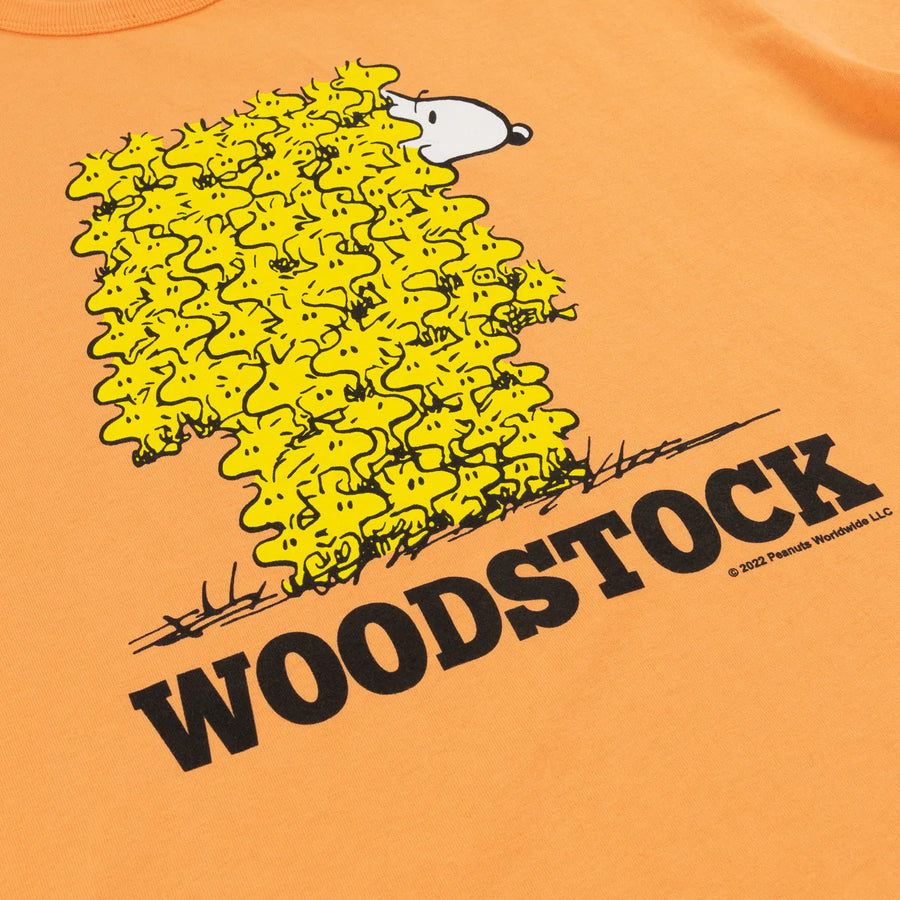 Woodstock Orange