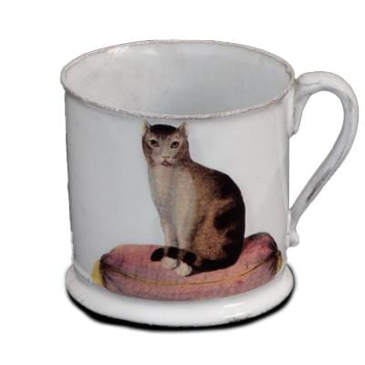 Cat Cup