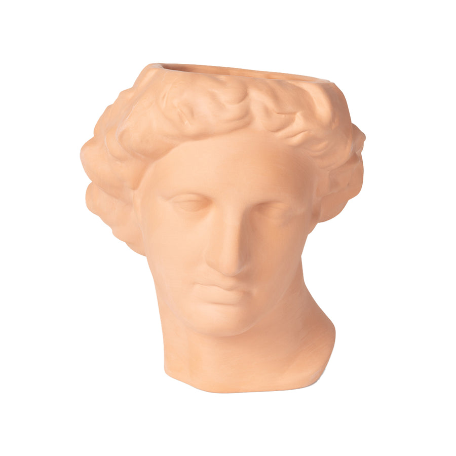 Apollo Vase Terracota