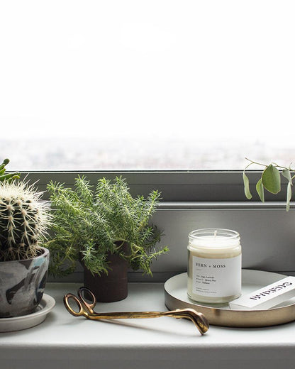 Fern Moss Minimalist Jar Candle