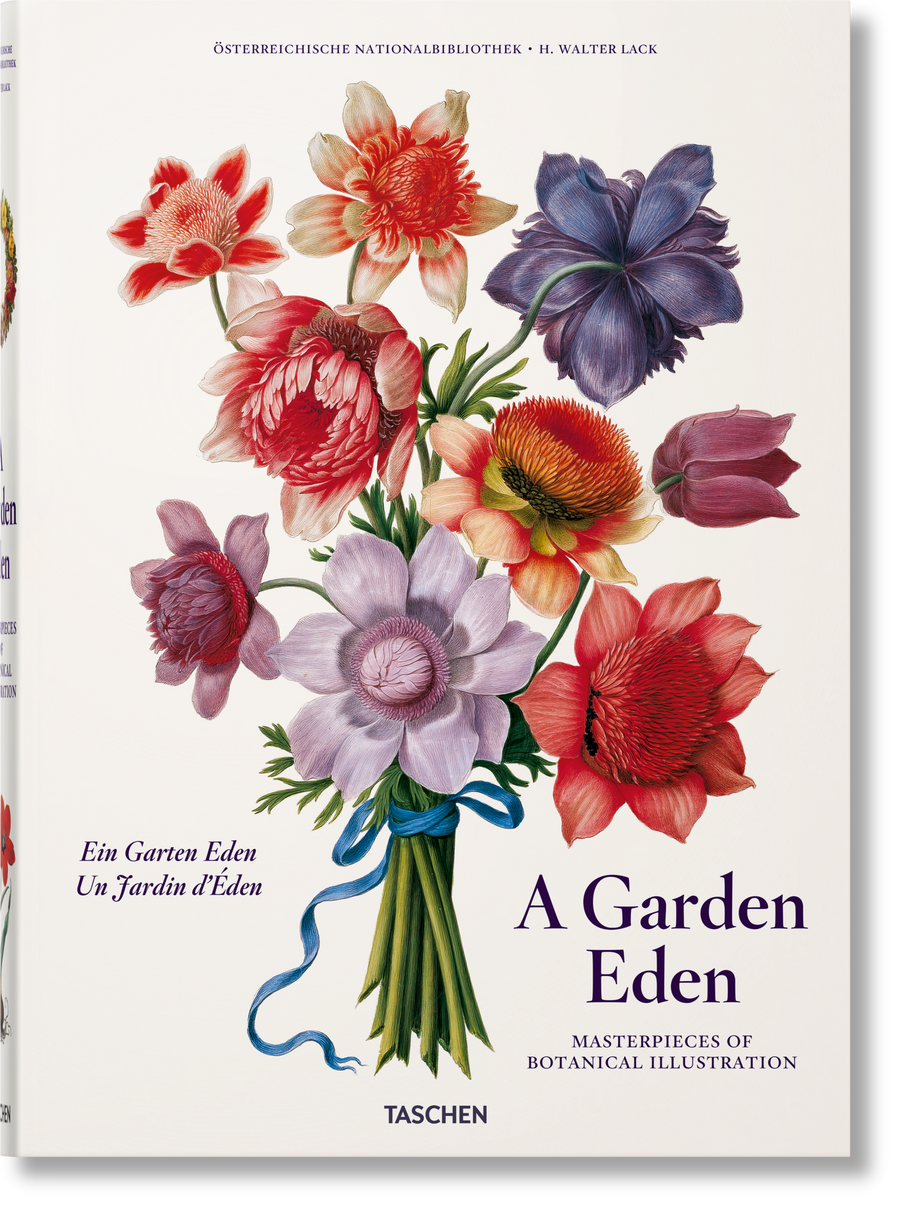 A Garden Eden – kapok