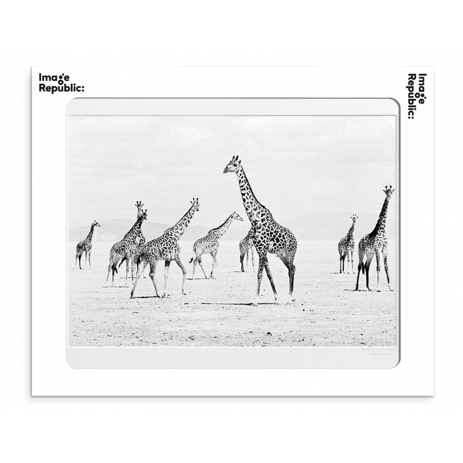 40x50 cm La Galerie Photo Girafes